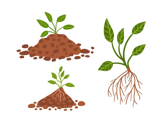 Vector set planten opgroeien in de grond Hand getekende plant in zwarte grond Zaailing lommerrijke plant stickers lente decor textiel wenskaarten Vector stock illustratie