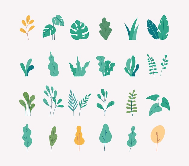 Vector set platte illustraties van planten bomen bladeren