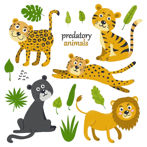 Vector set of predatory animals 