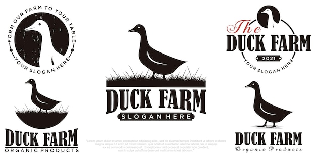 vector set of premium duck meat logo badges and design elements