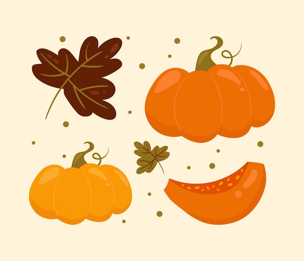 Vector vector set of pumpkin autumn elements collection