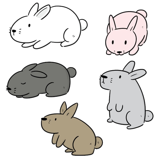 Vector set of rabbits