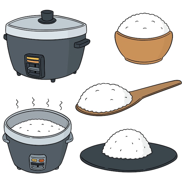 Vector vector set of rice