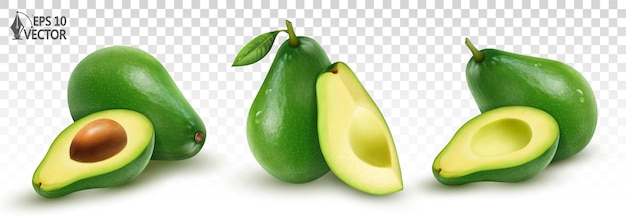 Vector set rijpe avocado's hele vruchten en stukken realistische afbeelding van voedsel ontwerpelementen