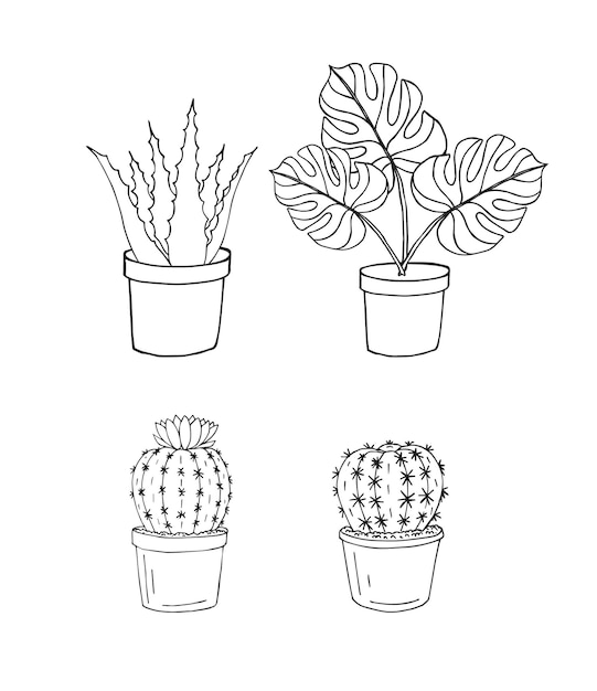 Vector set schets monstera en cactus in pot
