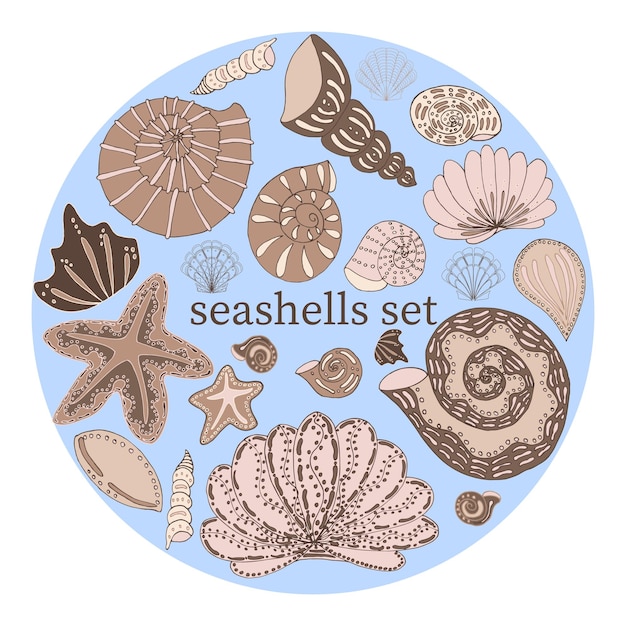 Vector set of seashells isolated in different sizes