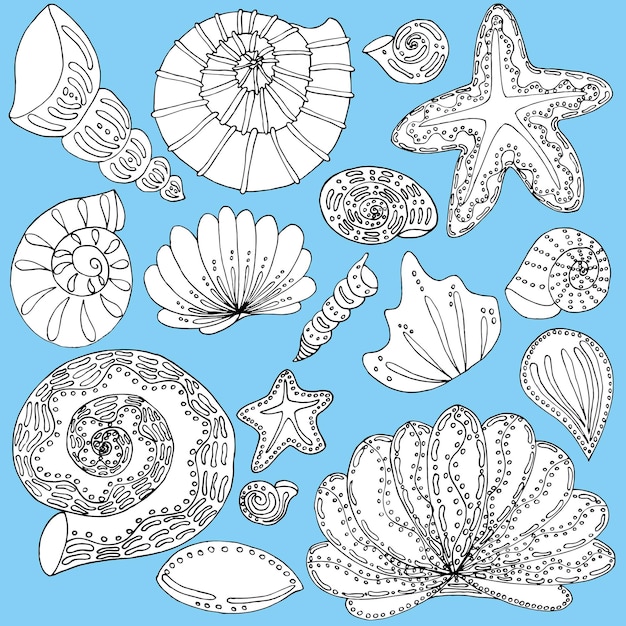 Vector set seashells and stars