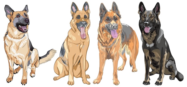 Vector set of shepherd dogs