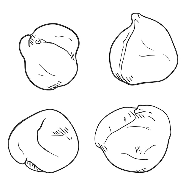 Vector Set of Sketch Chickpea