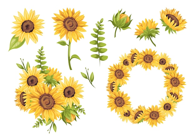 Vector set of sunflowers Flower elements wreath and flower composition