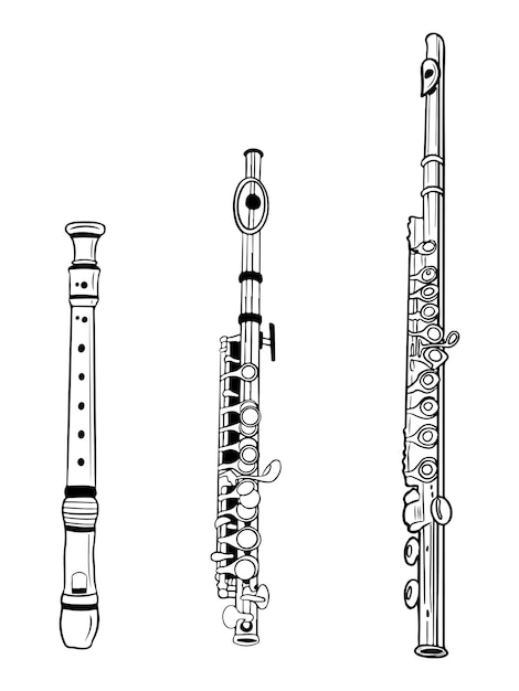 Vector set of three different flutes in black