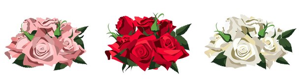 Vettore set vettoriale di tre mazzi di rose semirealistiche in colore bianco rosso rosa isolato su sfondo bianco