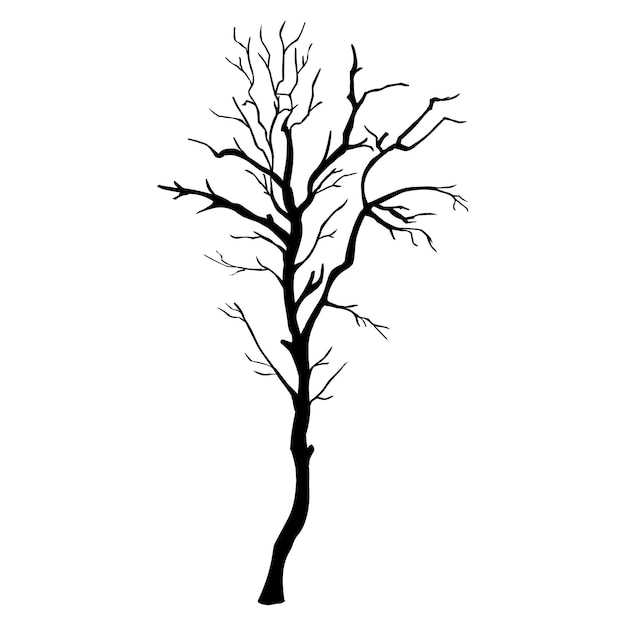 Vector vector set of trees silhouettes