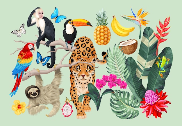 Vector set of tropical flora and fauna