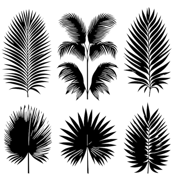 vector set tropical leaves with a simple silhouette style and white background