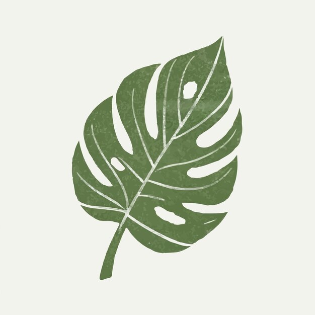 Vector set of tropical leaves