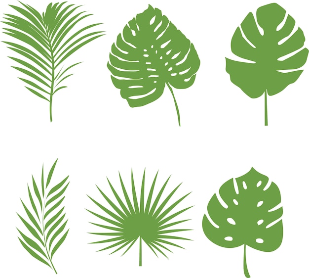 Vector set of tropical leaves 