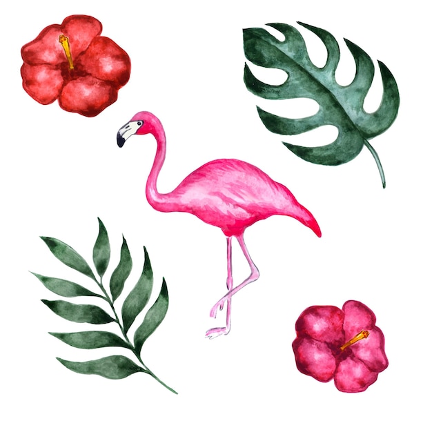 Vector set of tropical palm banana leaf flamingo and hibiscus flowers watercolor collection tropical elements