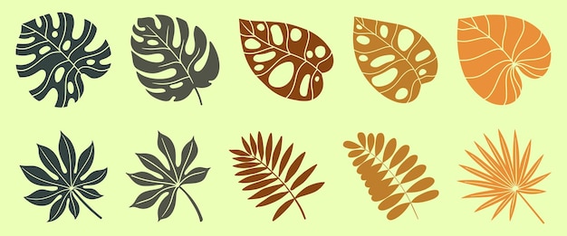 熱帯のテーマの葉のベクトルを設定