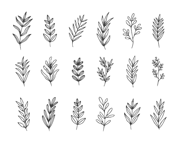 Vector set van botanische blad eenvoudige schets doodle hand getekende illustratie