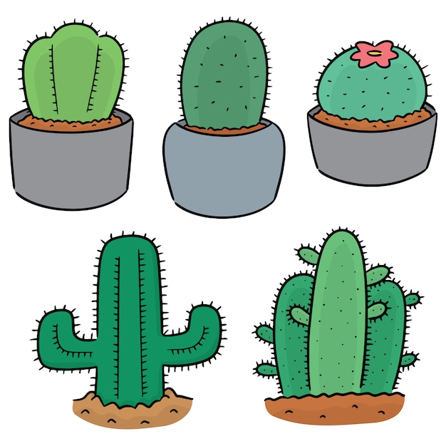 Vector set van cactus