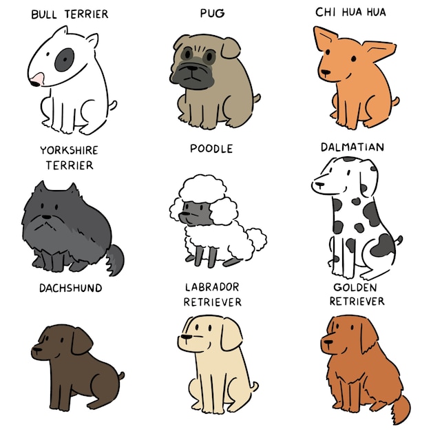 vector set van de hond