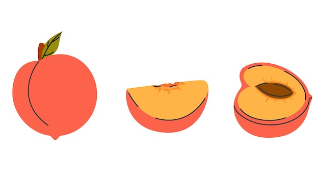 Vector set van hele helft en gesneden perziken met de hand getekend geïsoleerd perfect voor voedsel of zomer ontwerpen