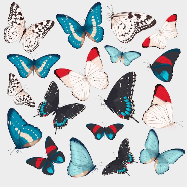 Vector set van hoge gedetailleerde vlinders