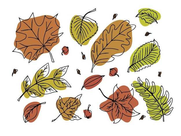 Vector set van kleurrijke herfstbladeren in de hand getrokken doodle stijl. Geïsoleerd op witte achtergrond