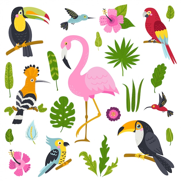 Vector set van schattige vogels uit de jungle