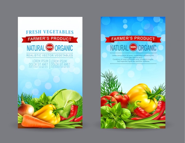 Vector set van twee verticale flyers sjabloon met realistische groenten voor de boerenmarkt