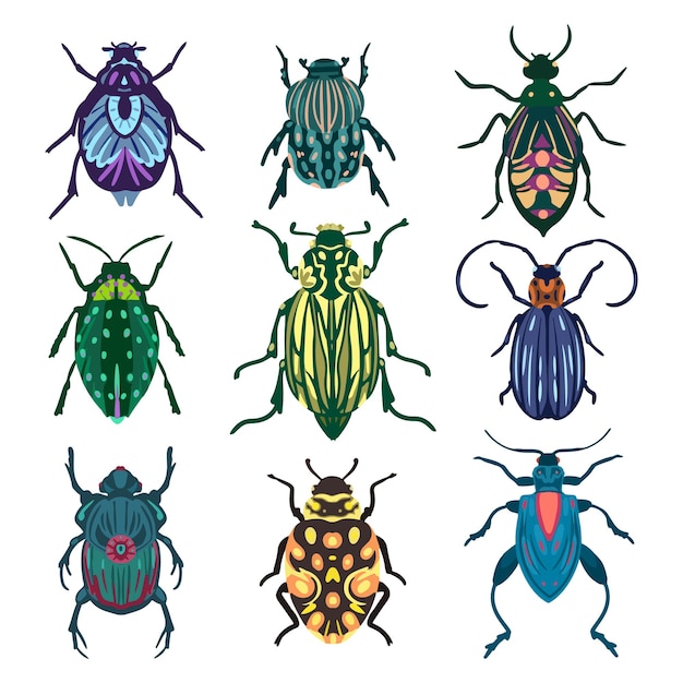 Vector vector set of various colorful beetles