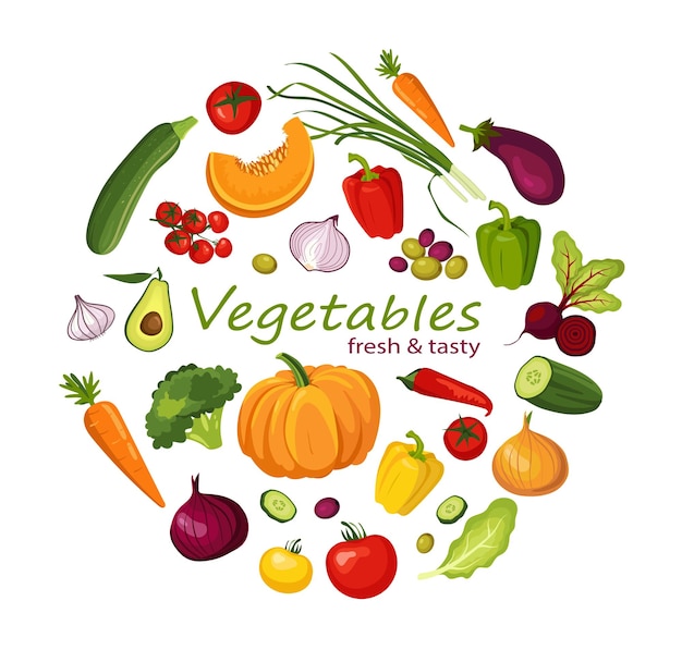 Vector vector set of vegetables healthy food concept