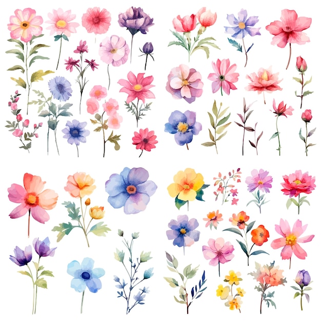 Vector set of watercolor flowers a set of flowers