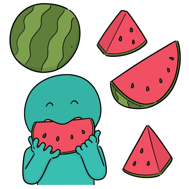 Vector vector set of watermelon