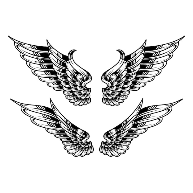 Vector vector set of wing illustration