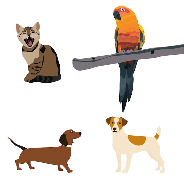 Vector set with cute animals, cartoon vector pets isolated