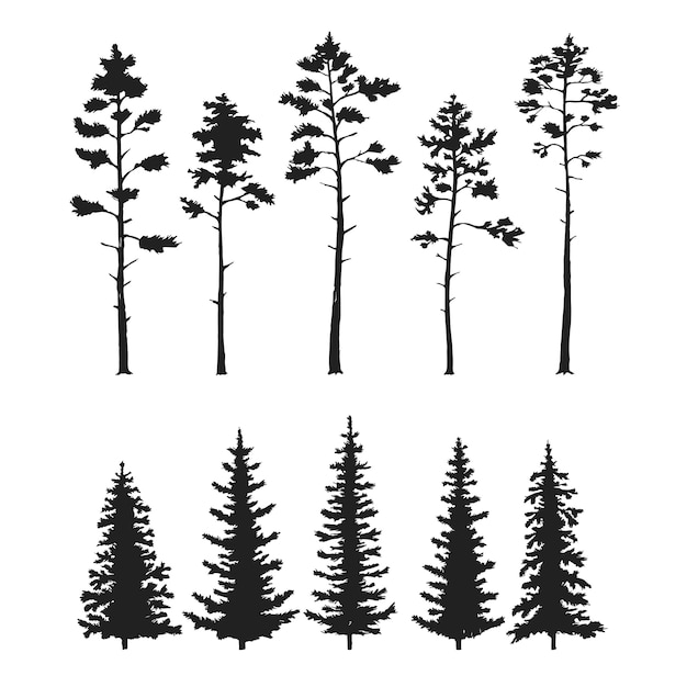 Vector vector set with pine trees isolated