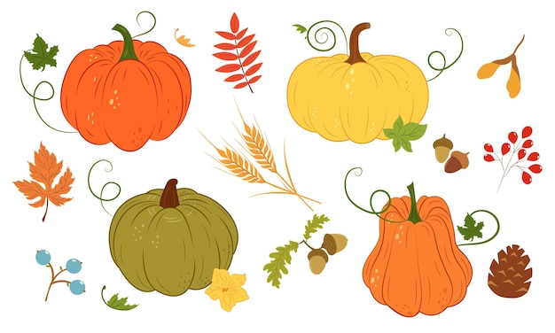 Vector set with pumpkin, leaves, acorn, wheat. Autumn harvest icons. Flat illustration.