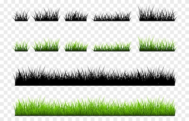 Vector set of young grass png lawn grass on an isolated transparent background grass silhouette