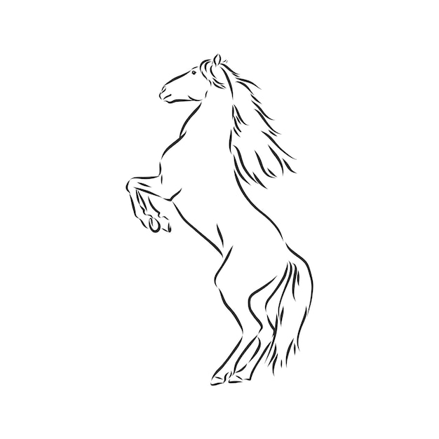 Vector silhouet van een lopend paard. mooie paard schets vectorillustratie