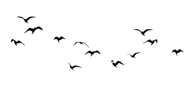 vector silhouet van een zwerm vliegende vogels