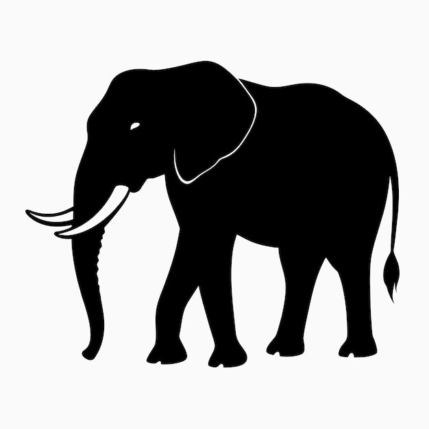 Vector vector silhouette of an african elephant pose on a white background 4