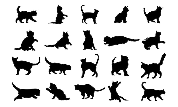 Vector silhouette of a cat on white background