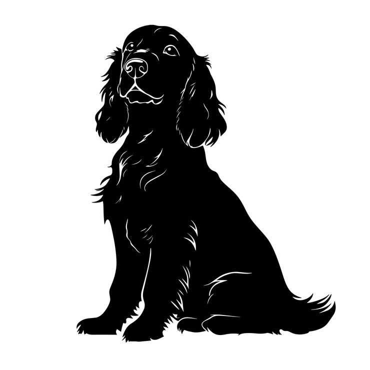 Vector vector silhouette of a cocker spaniel