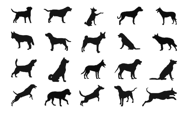 Vector vector silhouette of a dog on white background