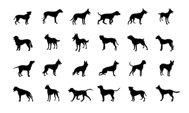 Vector silhouette of a dog on white background