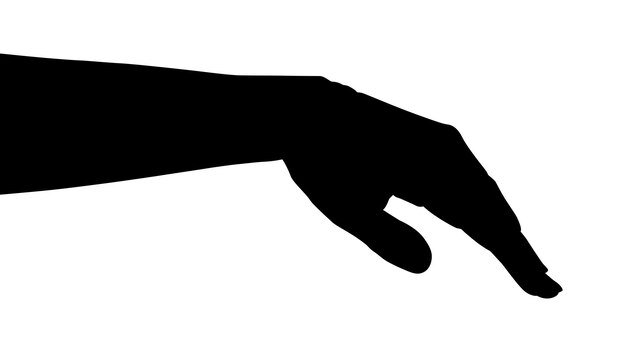 Vector vector silhouette of a hand on a white background hand palm hand silhouette black flat hand