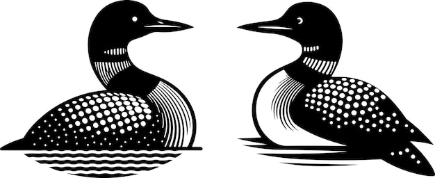 a vector silhouette image of a loon birds