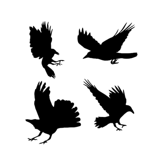 Vector silhouette ravens birds set outline